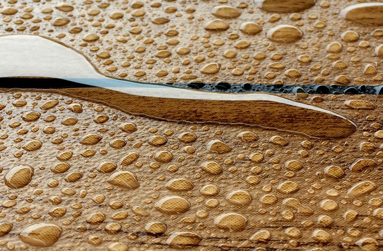 Odoo • Text and Image