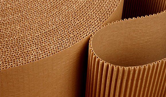 Odoo • Text and Image